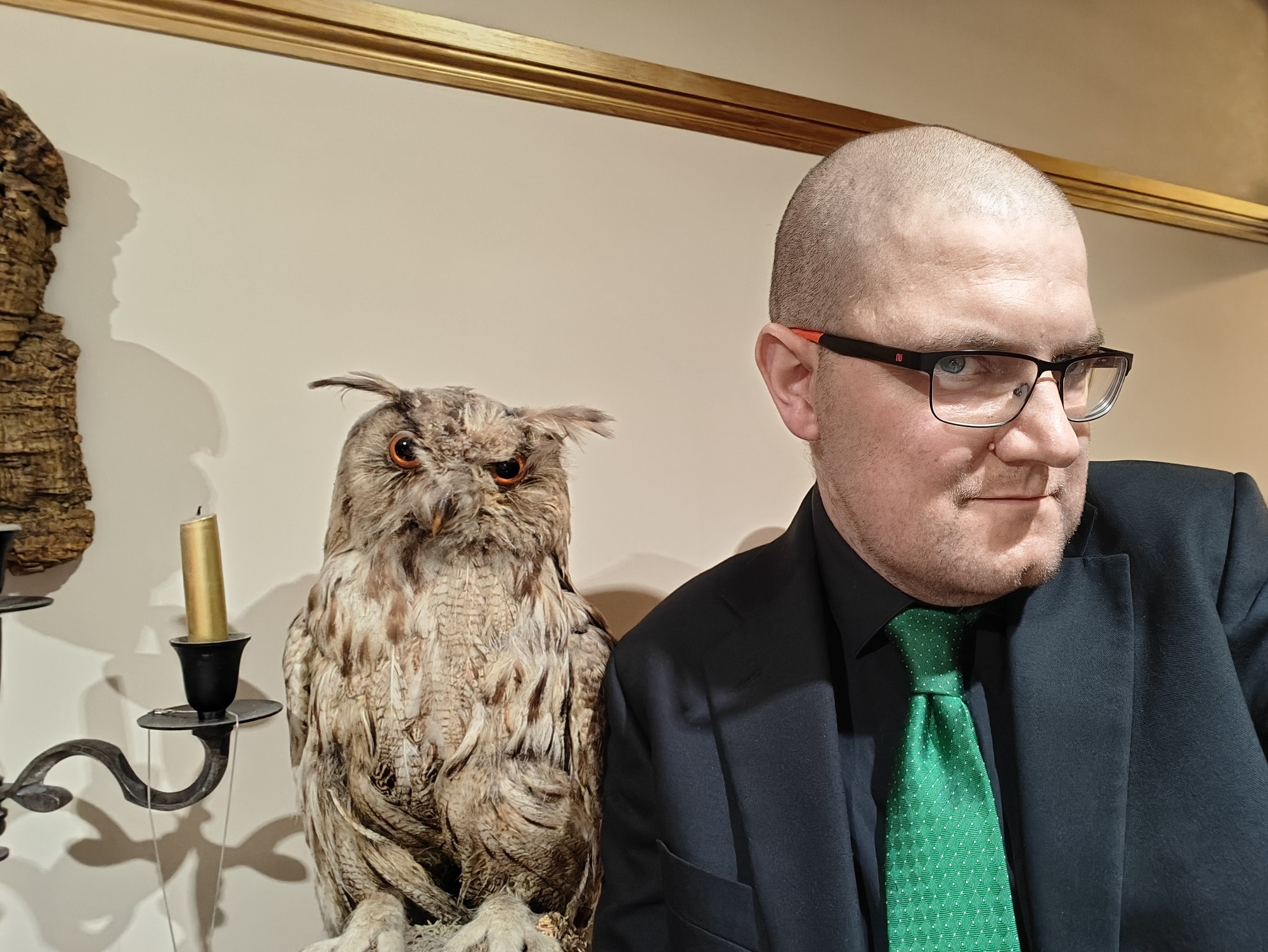 A stuffed own next to me in a black suit, black shirt, and green tie