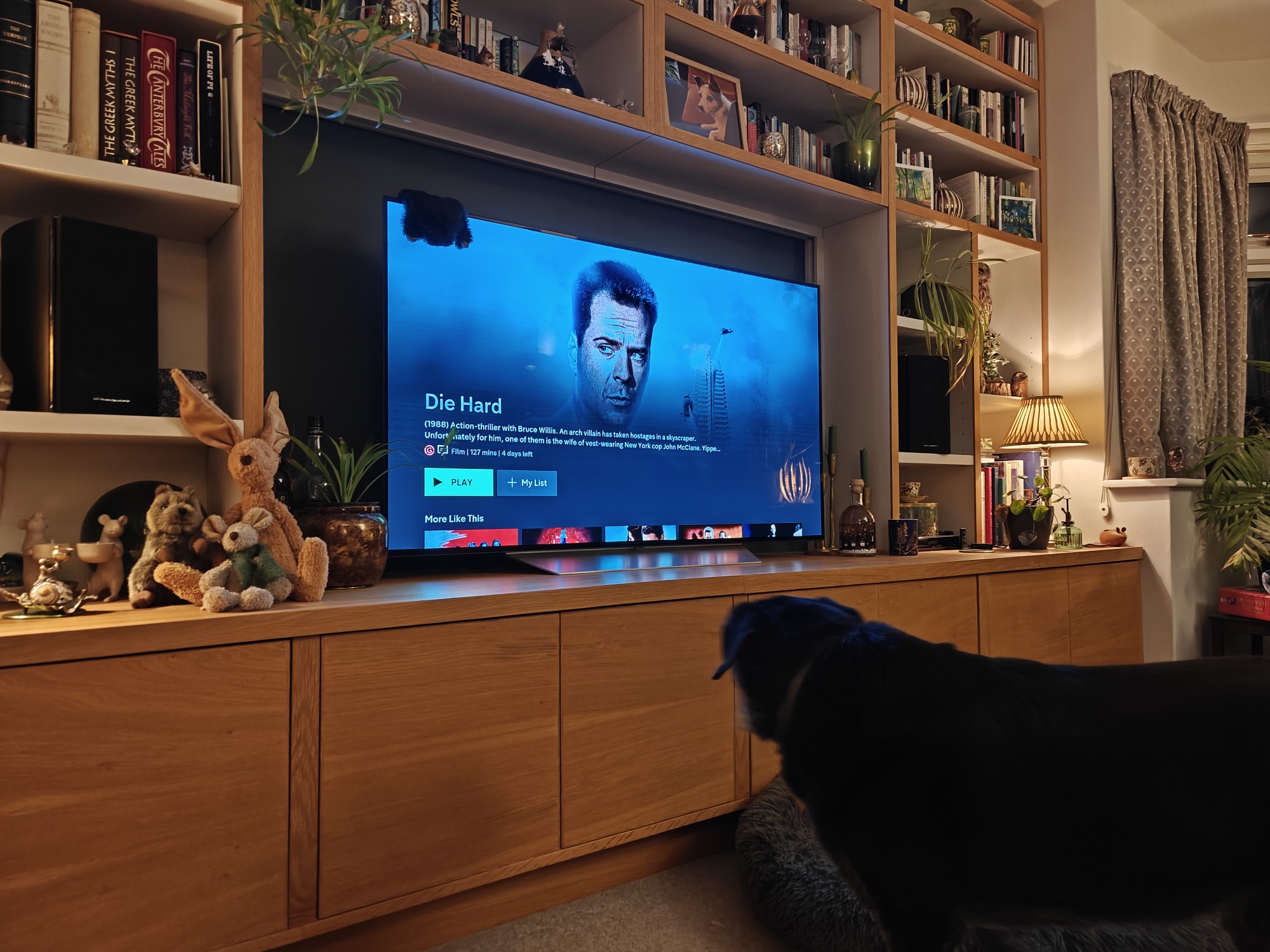 Die Hard intro on a screen with Luka the dog watching 
