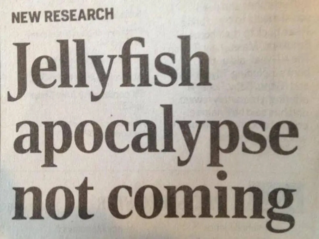A newspaper article headline that reads "Jellyfish apocalypse not coming".