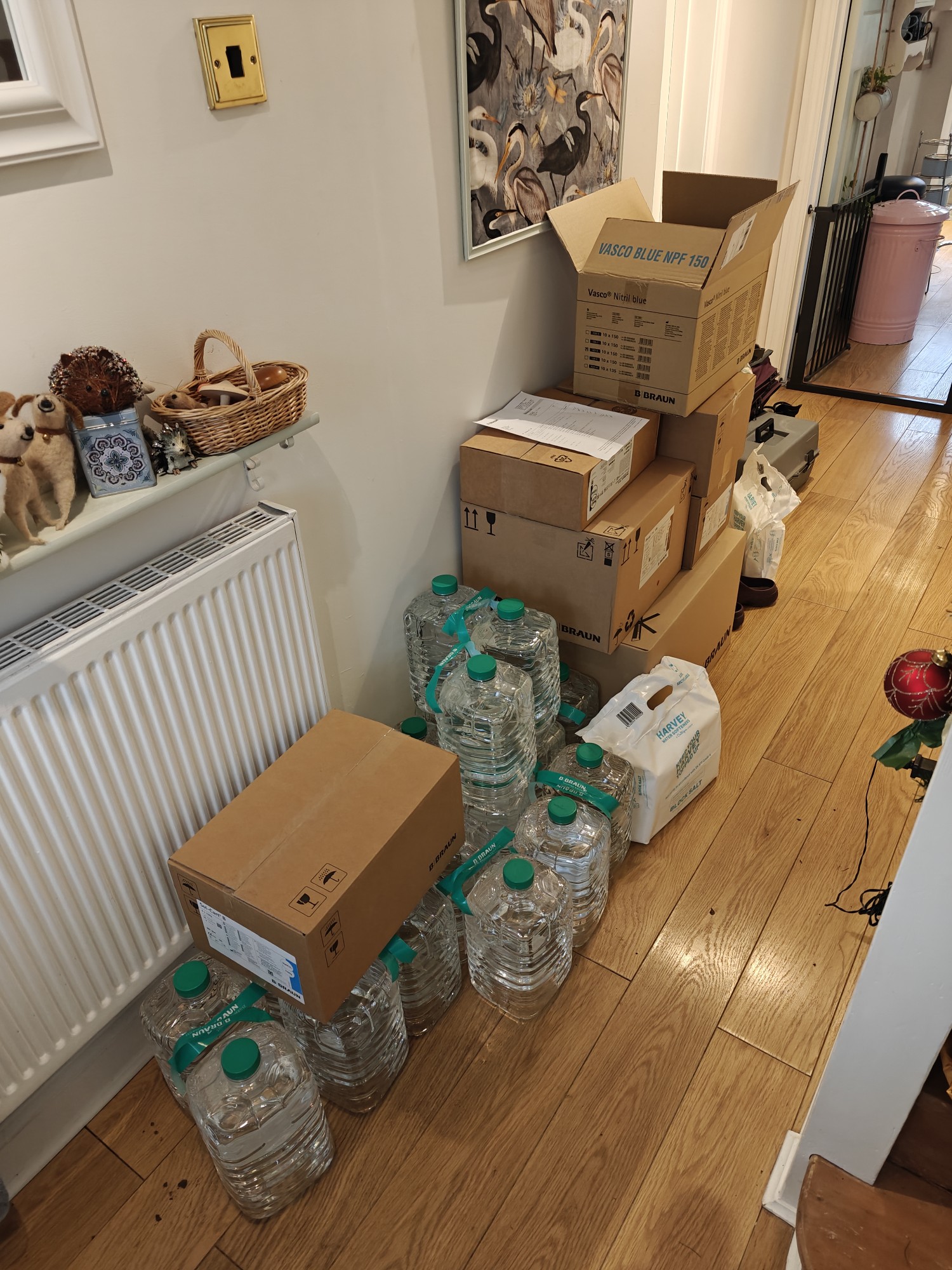 A hallway full of boxes, cannisters of liquid, and packages