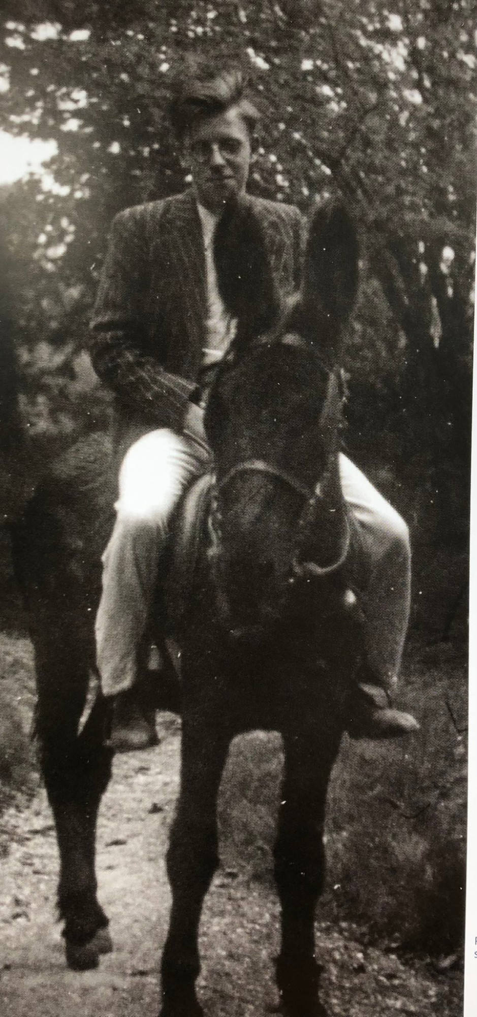 A picture of a young Michel Foucault -- with hair -- on a donkey. The donkey also has hair (fur).