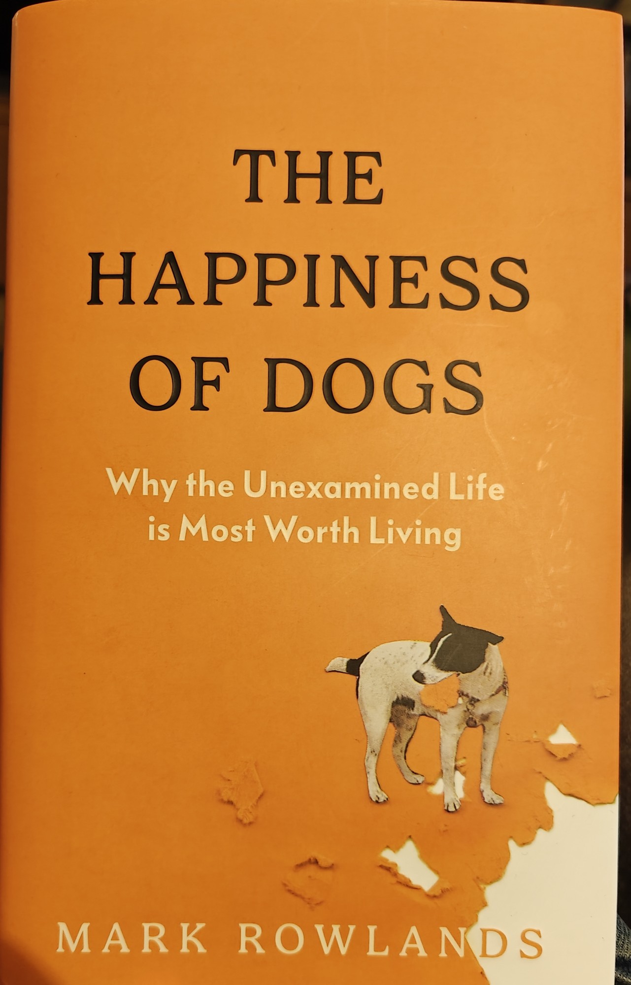 The front cover of Mark Rowlands's The Happiness of Dogs: Why the Unexamined Life is Most Worth Living. Cover is orange with a white dog eating the corner of the cover. 