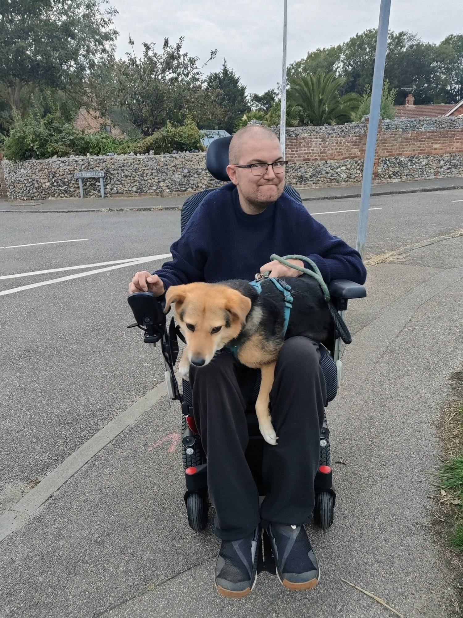 A picture of me in my wheelchair with a brown dog on my lap