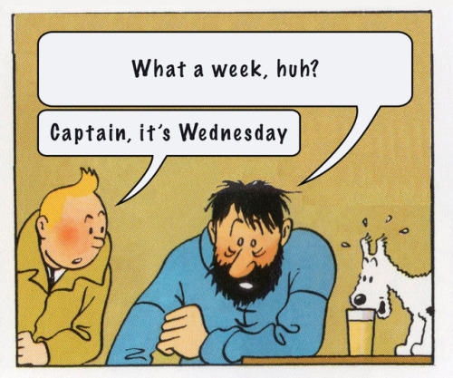The Tintin meme strip of Captain Haddock asking "what a week huh?" and Tintin replying "Captain, it's Wednesday" 