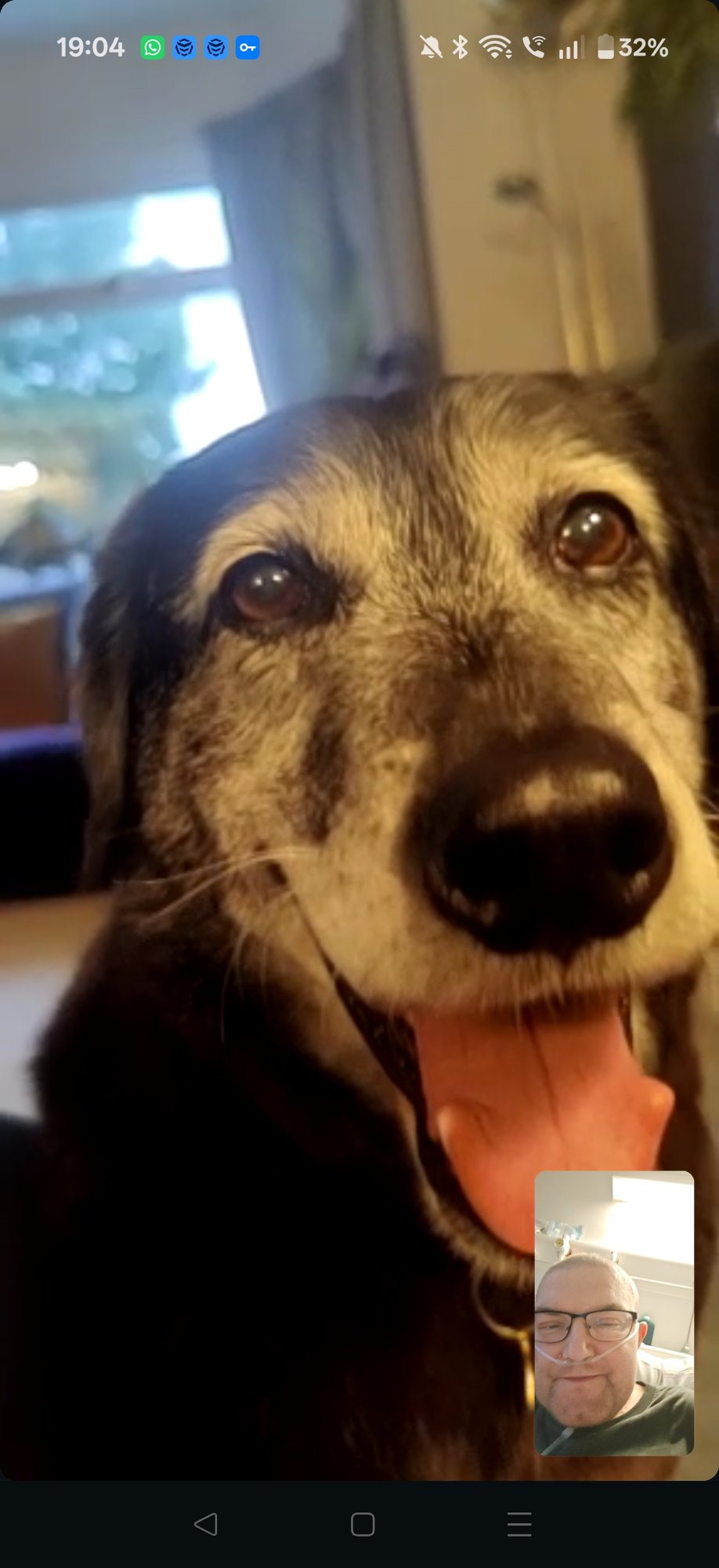 My dog Luka -- a big black husky-labrador thing -- smiling with his tongue out, on a video call with me at the bottom right. I am receiving supplemental oxygen.