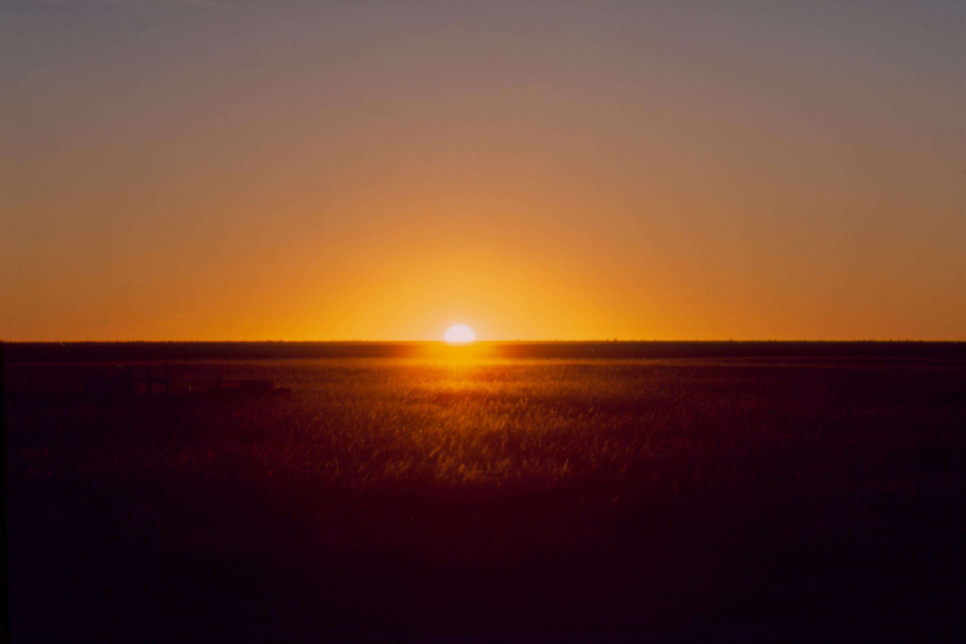 Now accepting proposals to 'New Horizons in Contemporary Writing' series feature image